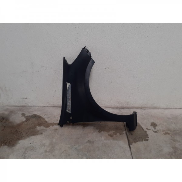 Guarda Lamas Direito – RENAULT CLIO III (BR0/1, CR0/1)