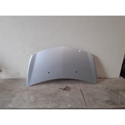 Capot – RENAULT CLIO III (BR0/1. CR0/1)