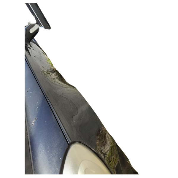 Guarda Lamas Esquerdo – MERCEDES-BENZ SLK (R171)