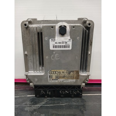 Centralina do Motor – AUDI A4 AVANT (8ED, B7)